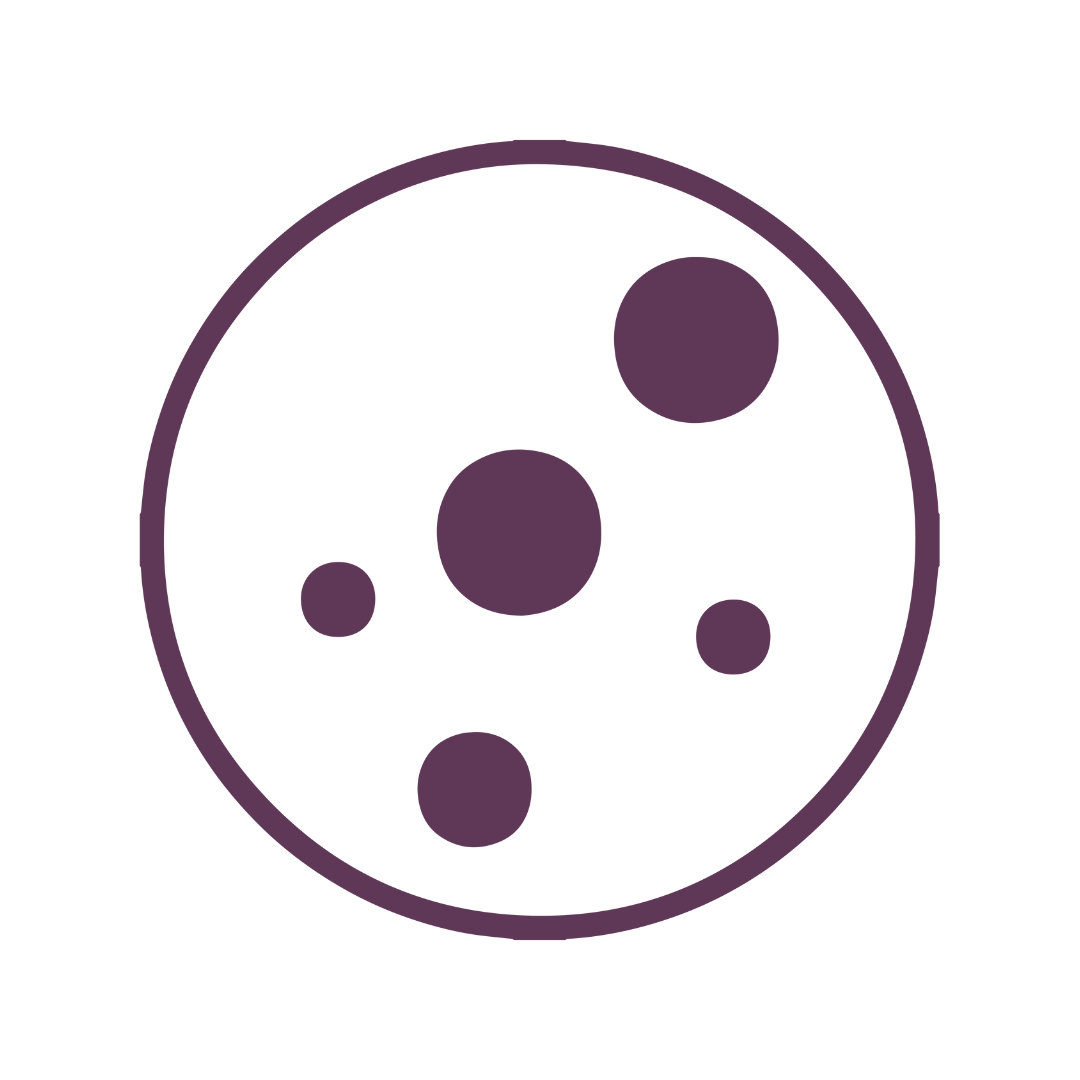 PIGMENTATION and BROWN SPOTS icon